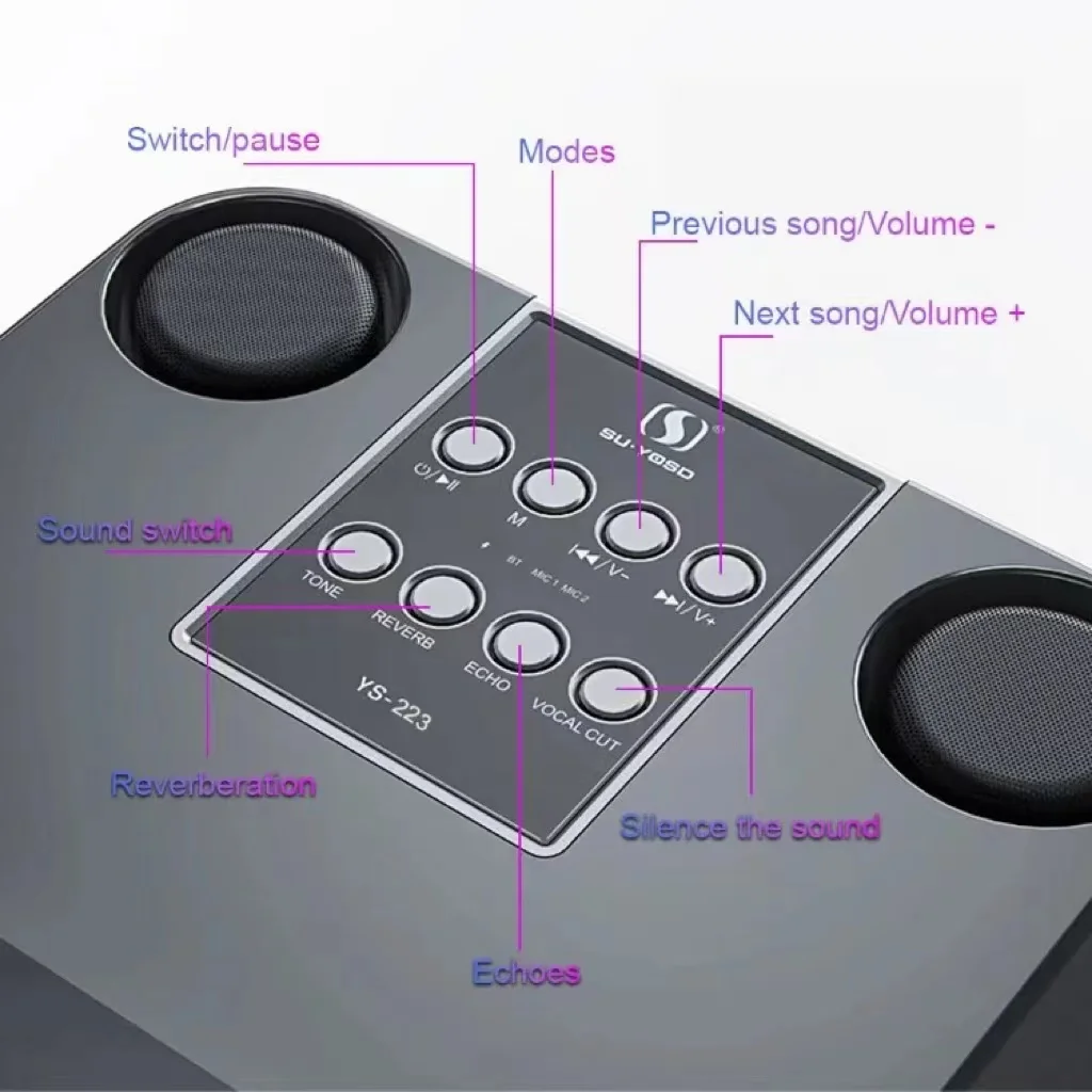 Portable BT Speaker with 2 Wir - đánh giá và giá Audio Music Kids